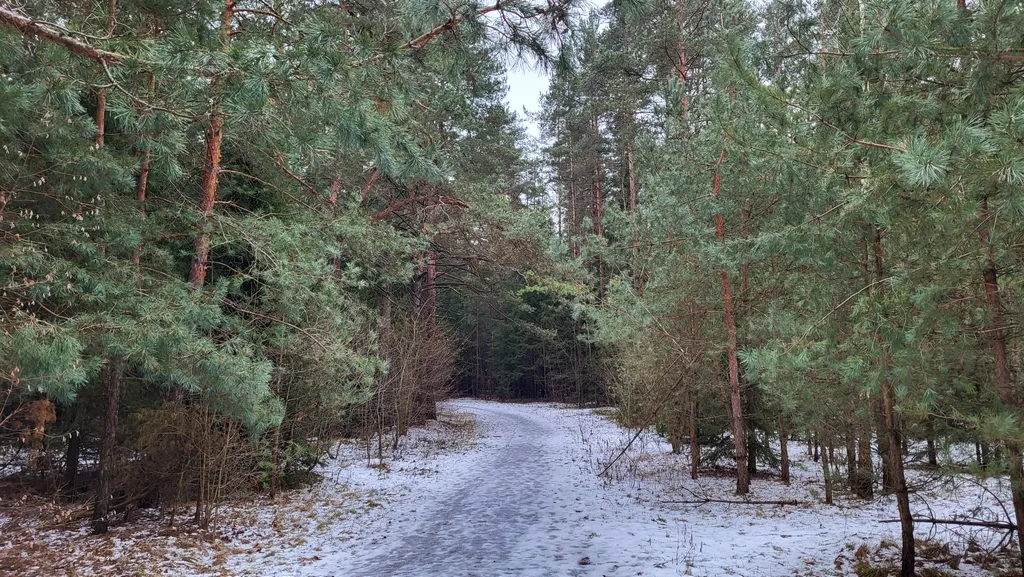 Коттедж рядом с минском, уютный, колодищи