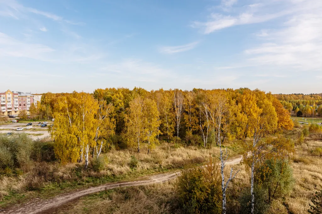 Квартира в ЖК Залесном Сити