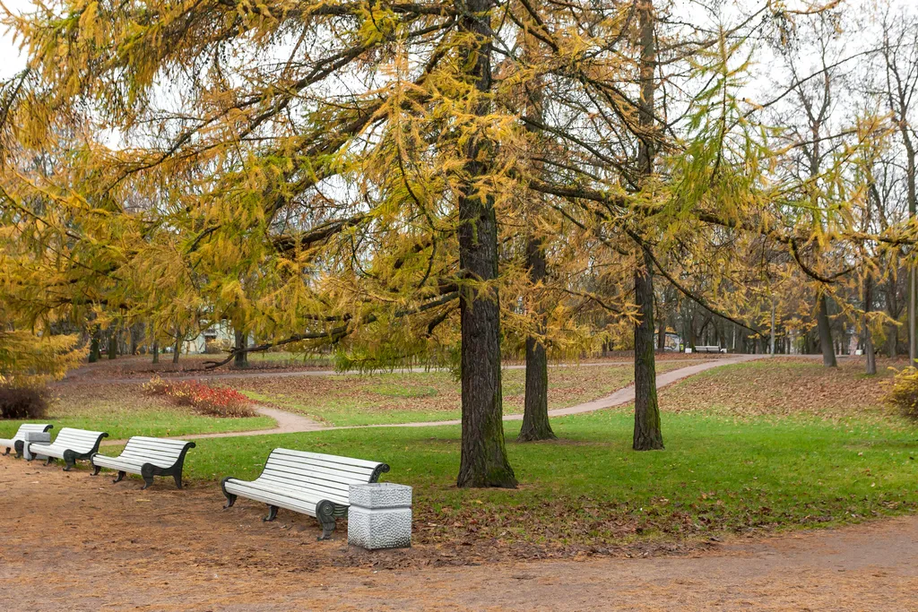 Квартира Квартира Дизайнерская трешка с проектором недалеко от центра — Пушкин