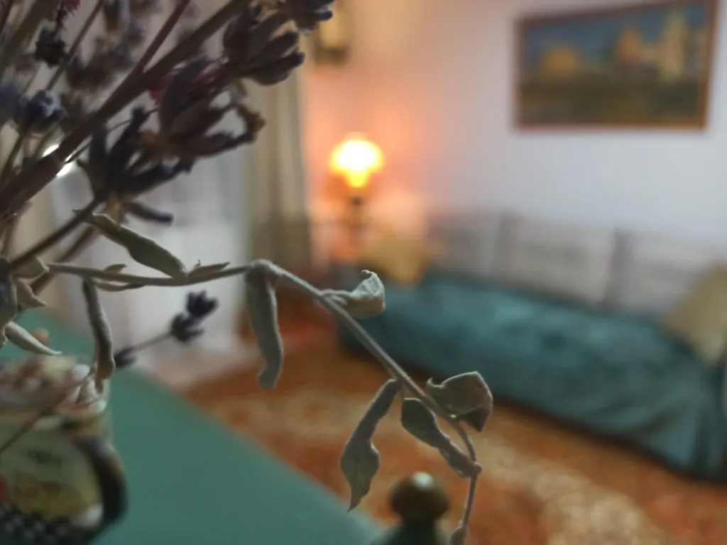 Уютная двушка в сердце города