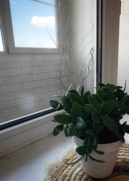 Квартира с дизайнерским ремонтом рядом с пляжем