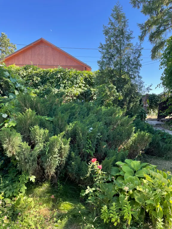 Уютная Зеленая дача c видом на Волгу