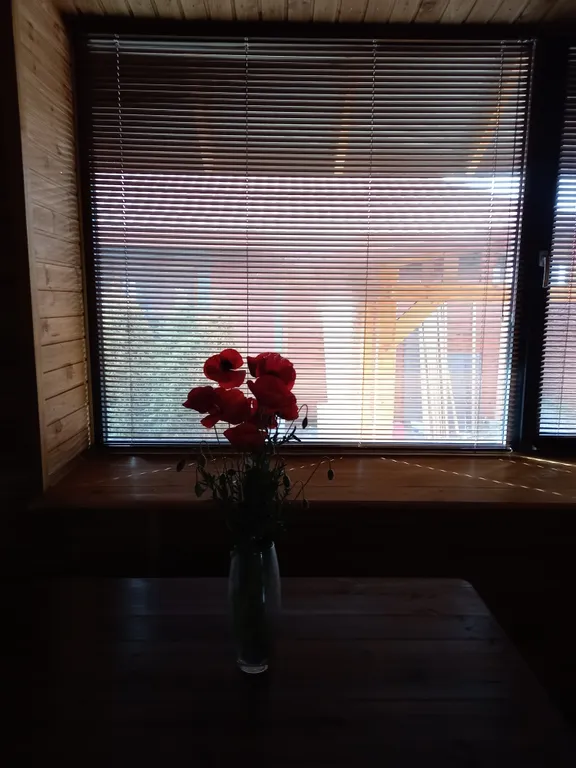 Студия в стиле эко