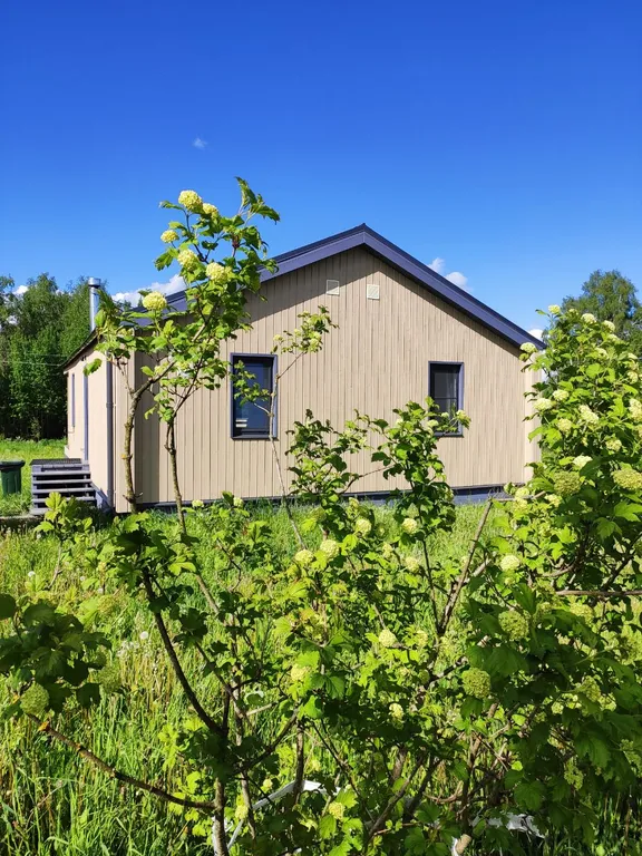 Дом с панорамными окнами и камином в Болотов Деревне