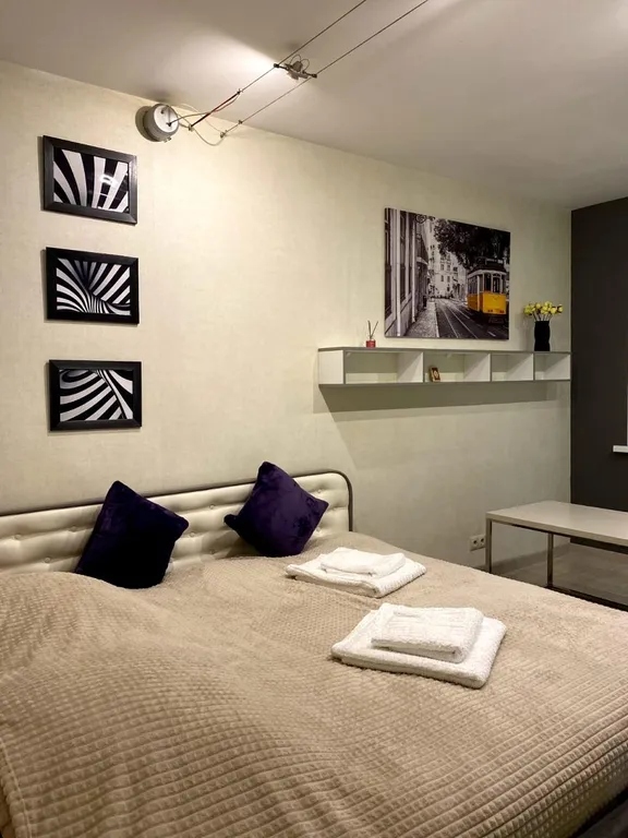 Уютная однокомнатная квартира с современным ремонтом — аренда посуточно в Железногорск