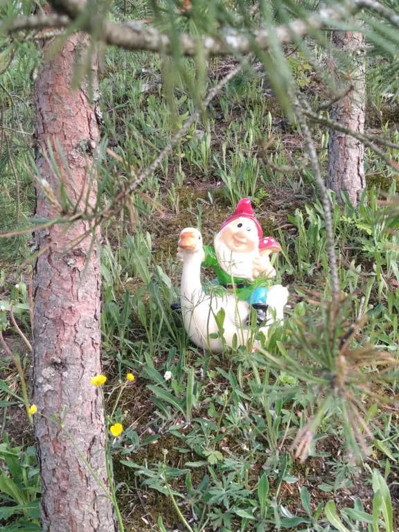 Коттедж Извоз