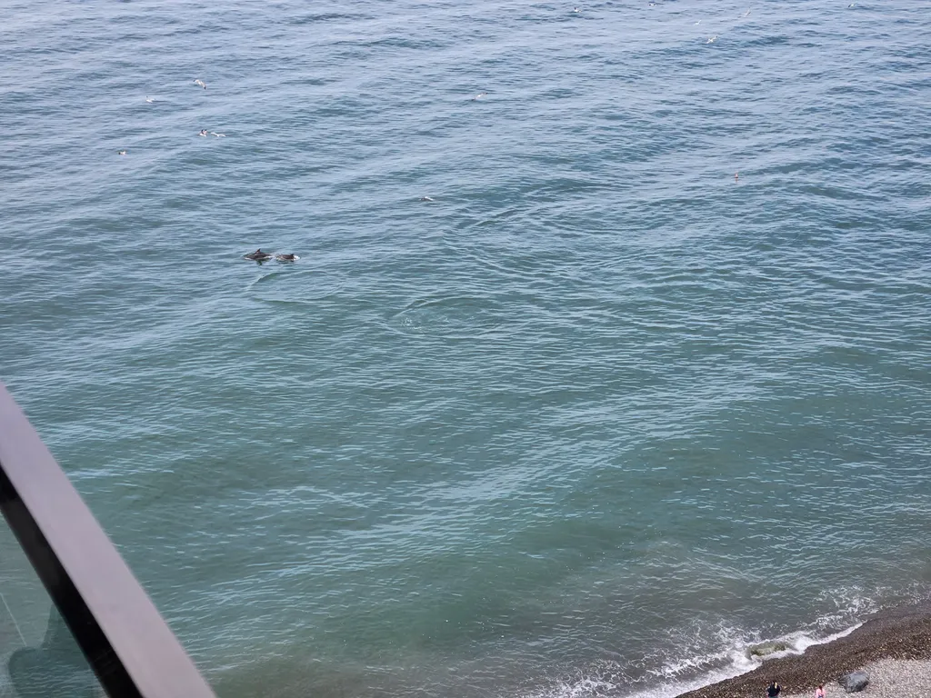 Апартаменты с лучшим видом на море