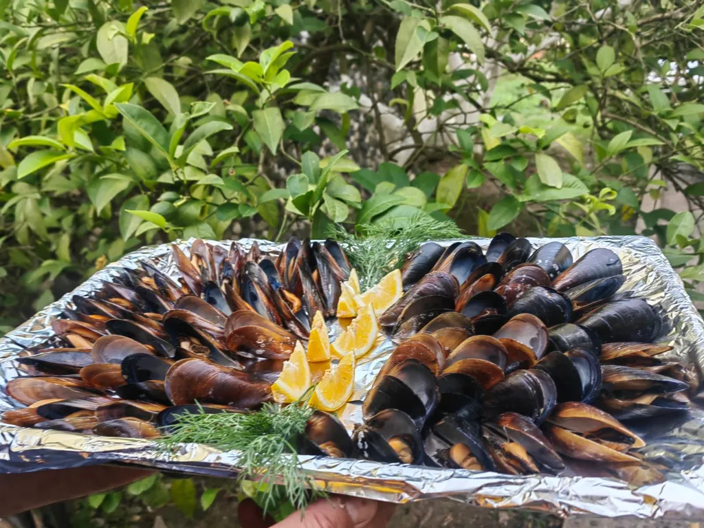 Домик 1-комнатный 3-местный