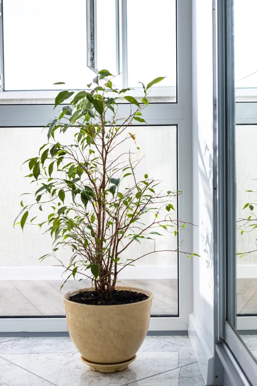 Голубая мечта - Тёплый дом в центре Йошкар-Олы