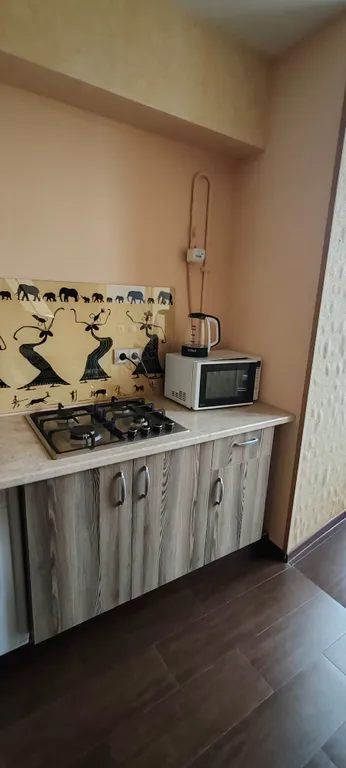 Большая студия в центре города, есть выход на крышу, парковка