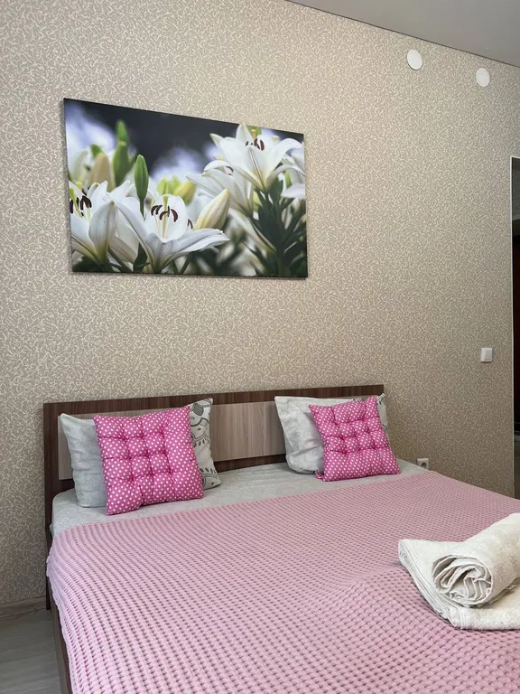 Квартира Развитая инфраструктура — аренда посуточно в Оренбург