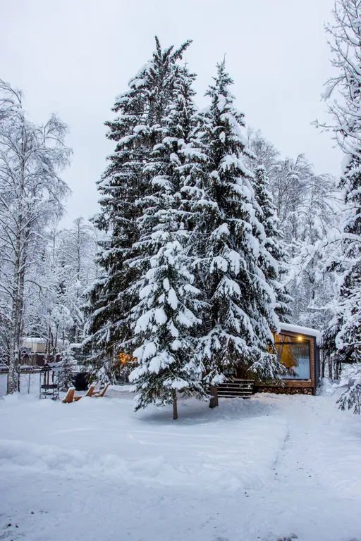 Новый уютный дом с русской баней и сибирским банным чаном