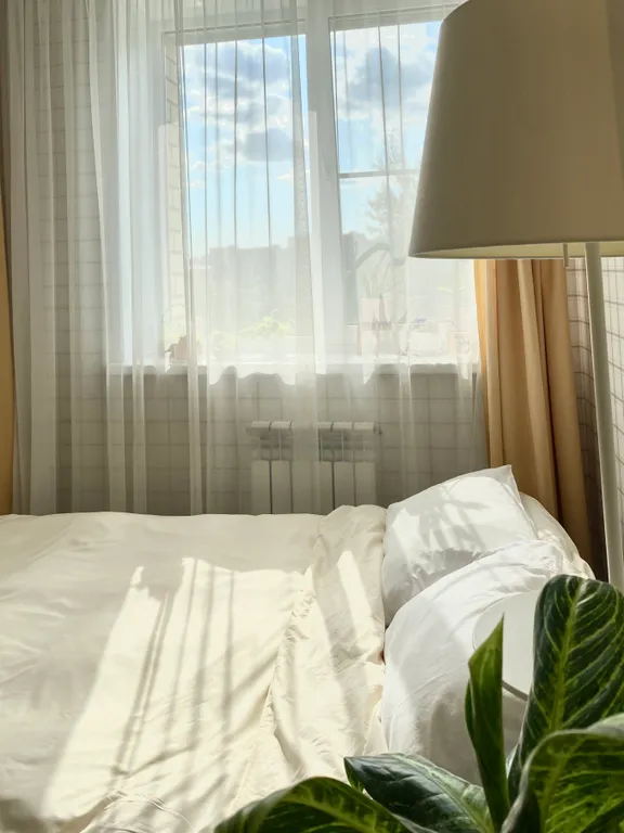 Рядом с лесом