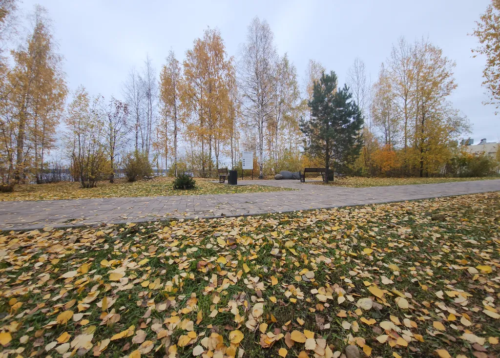 Уютная квартира на берегу Онеги