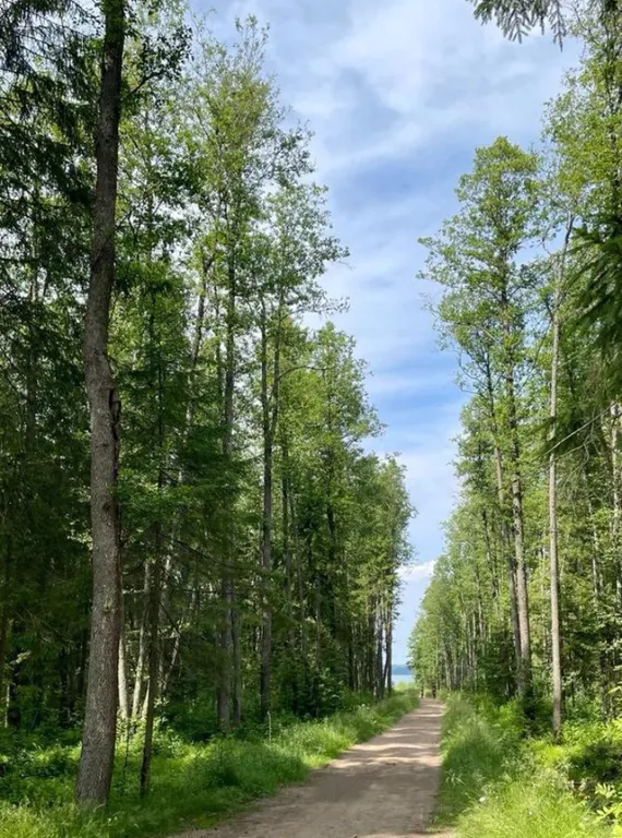 Уютный дом для комфортного отдыха