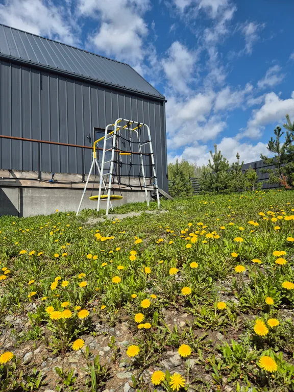 Барнхаус в кадниково. Баня и чан