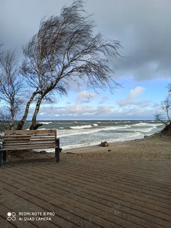 Квартира у Дворца Спорта Янтарный