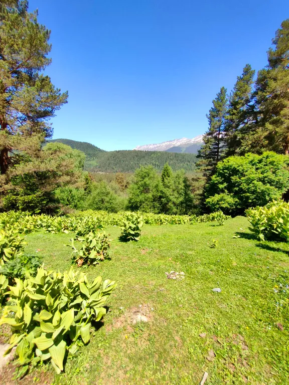 Экодомик с великолепным видом на горы