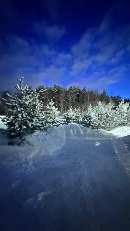 Частный дом на берегу Ладожского озера