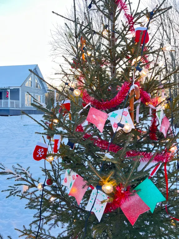 Дом на Волхове