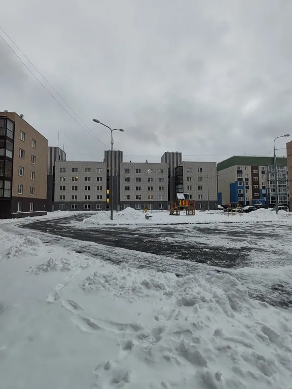 Уютная студия рядом с лесом