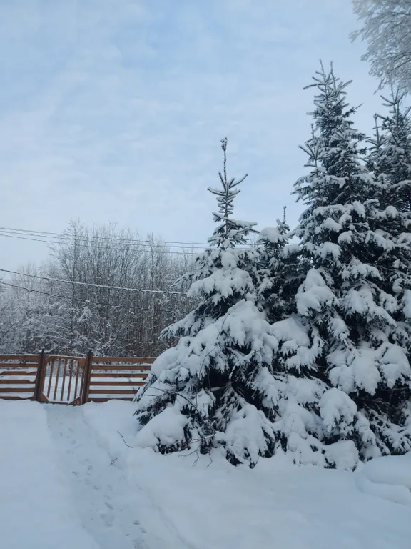 SkiLife уютный дом у горнолыжных курортов