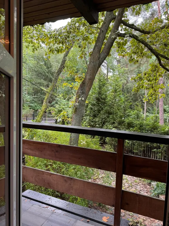 Домик лешего