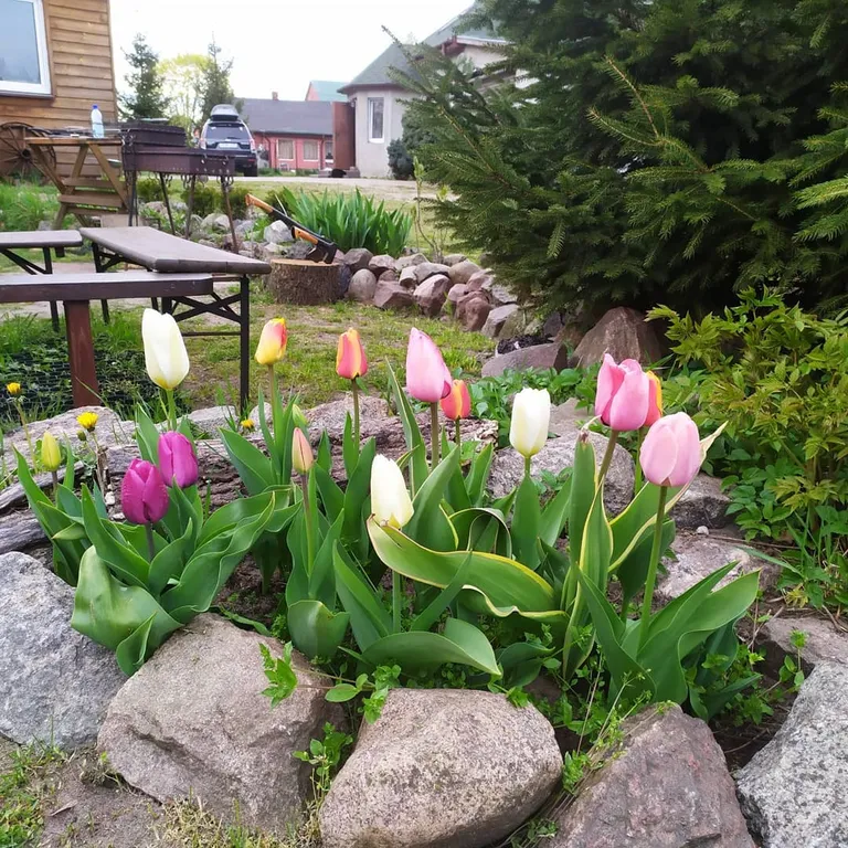 Коттедж Уютный домик рядом с заливом — Светлый