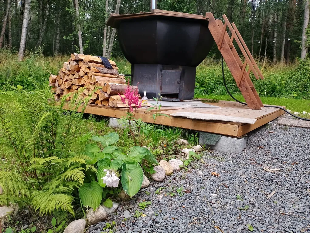 Мелодия леса