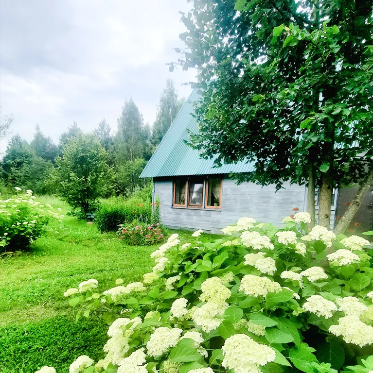 Коттедж Домик Уют Самана в Родовом поместье в лесу — аренда посуточно в Товарково