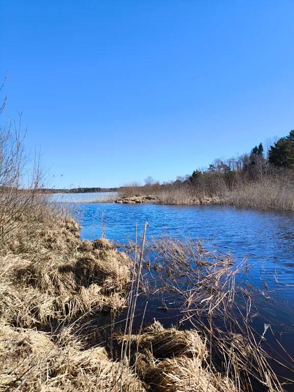 Домик у озера