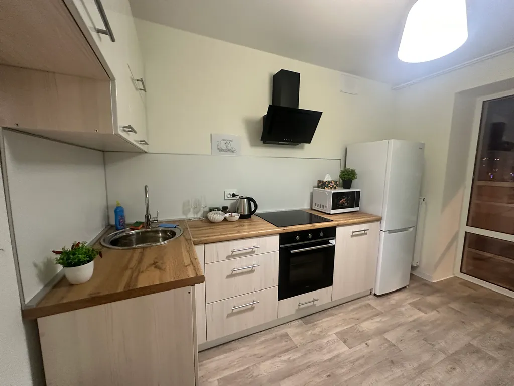 Лада арена, ОЭЗ, Автоваз