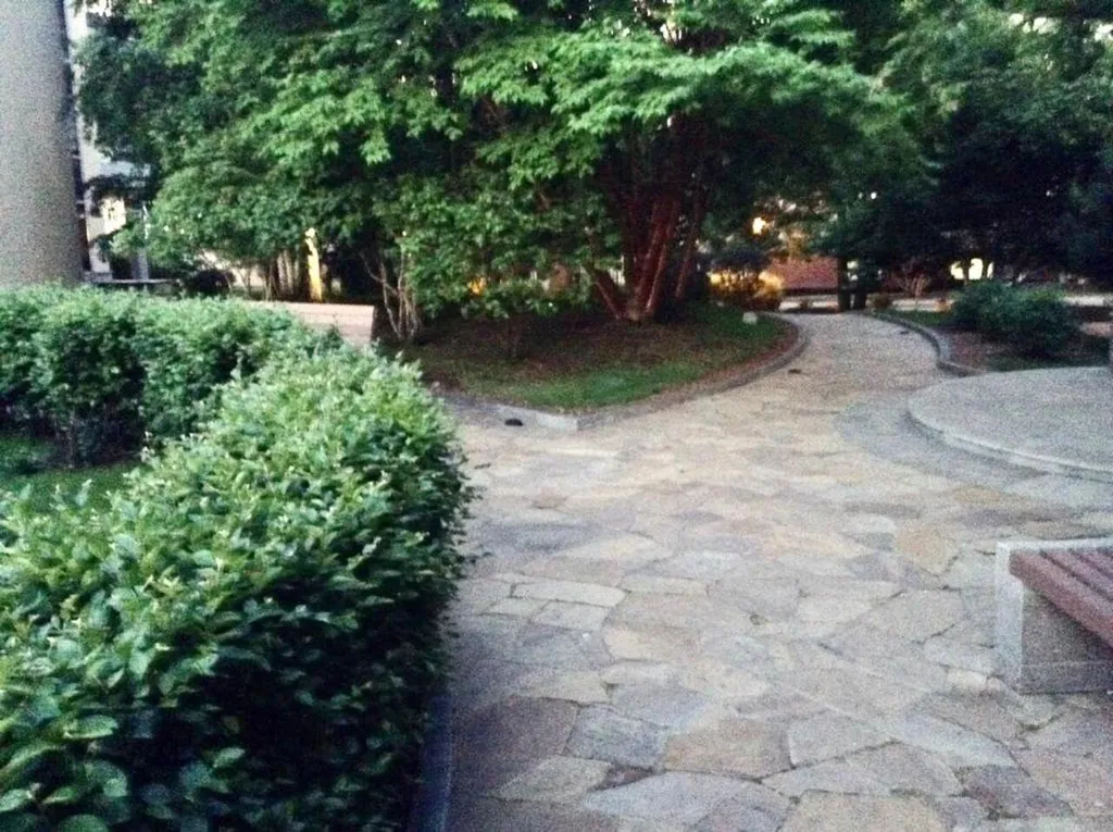 Президентский люкс 5* в центре города