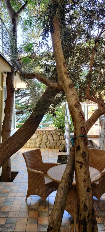 Апартамент с видом на море и отдельной спальней 202