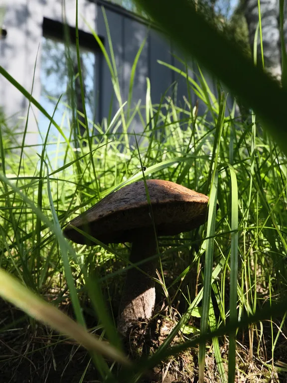 Коттедж Барнхаус премиум на берегу озера — Светлое