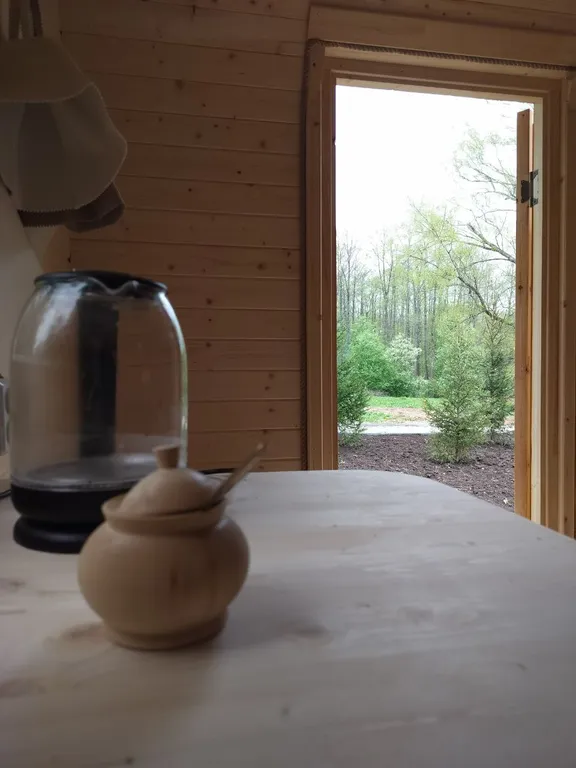 Новый современный Барнхаус посреди леса