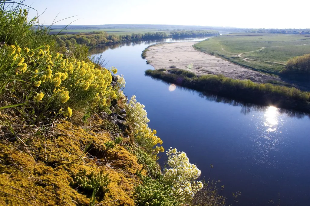 Эко дома Горыныч House рядом с Кудыкиной горой