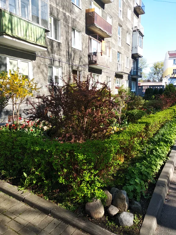 Квартира Квартира в центре города — Калининград