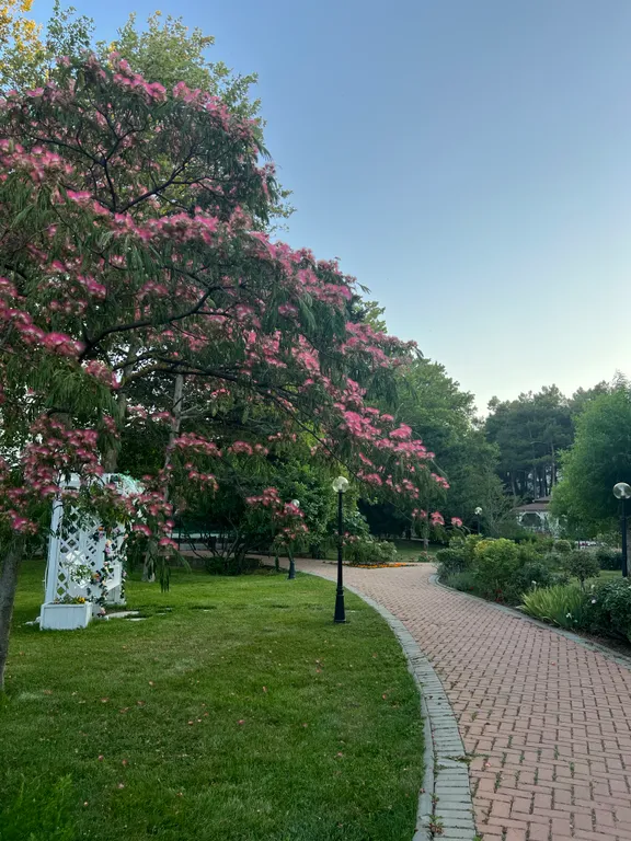 Апартаменты в VIP комплексе на берегу моря