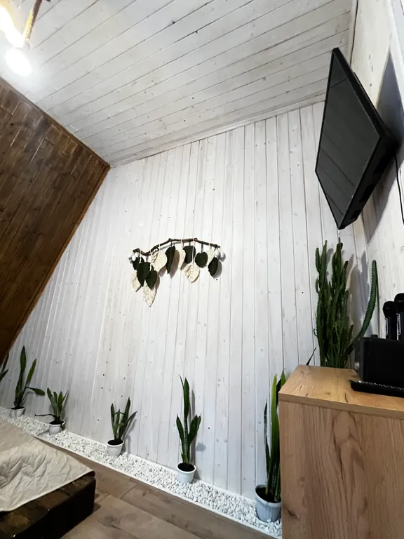 З-комнатный дом У Озера в лесу