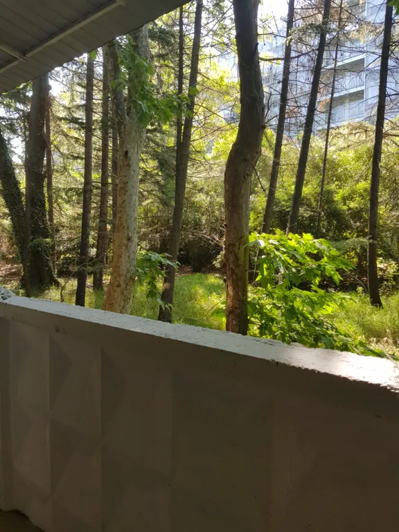 Квартира Квартира Студия 7 на 1 линии — Адлер