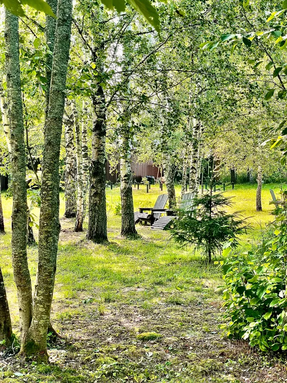 Коттедж Дом в лесу — Истра