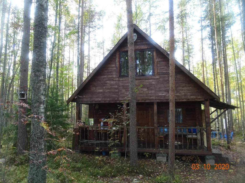 Коттедж Хижина в лесу на берегу озера без соседей — аренда посуточно в Мельниково