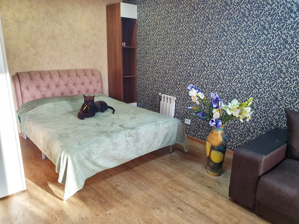 Квартира Апартаменты "Багира" рядом - СКАД, въезд в город, Р228, Протон, ДВВС — аренда посуточно в Саратов