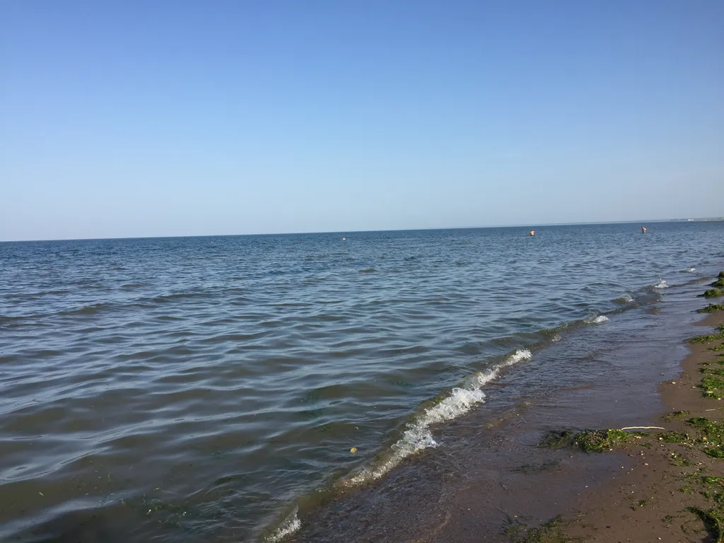 Домик с красивым двором