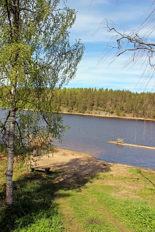 Ласточкино гнездо