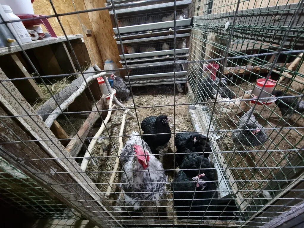 Усадьба в Соколова