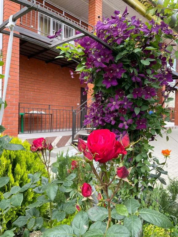 Двухэтажный дом на берегу Азовского моря