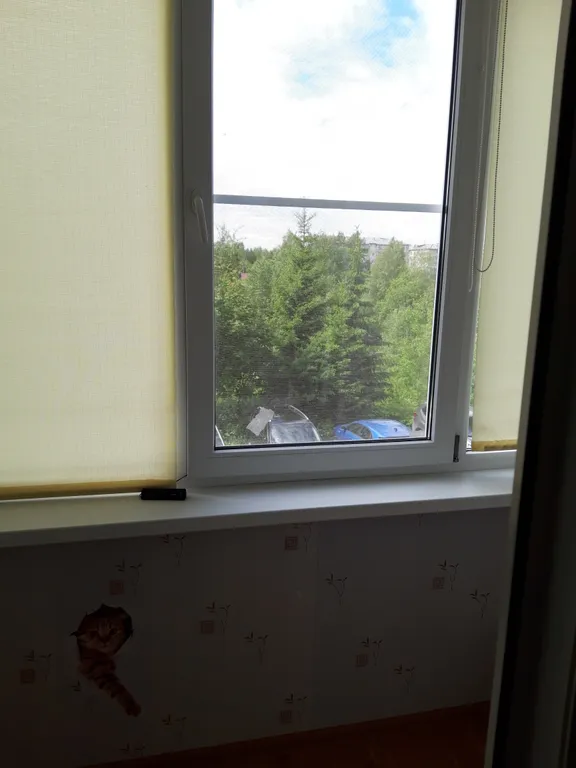 Квартира в центре