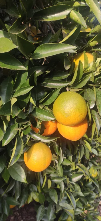 Дом в живописном горном ущелье